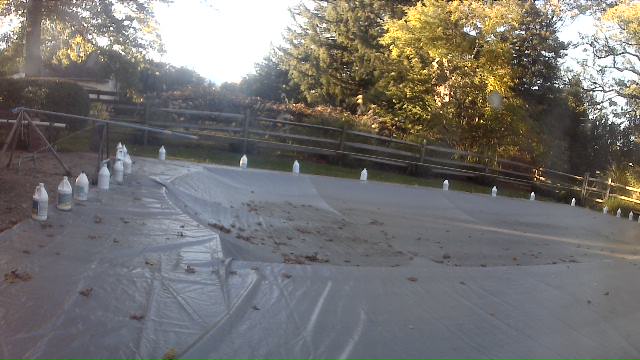 Pool Deck