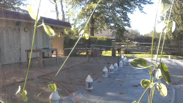 Pool
                        Level / Pool Cover